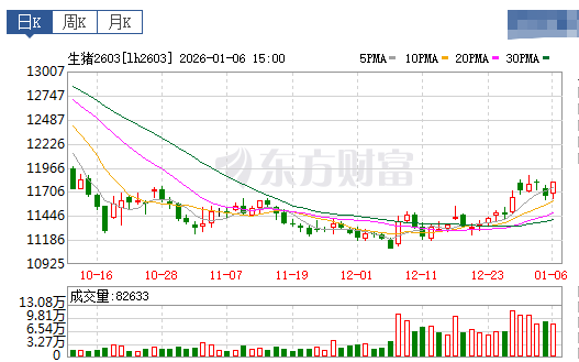 2026.01.07今天猪价行情分析