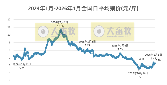 2026.01.10今天猪价行情分析