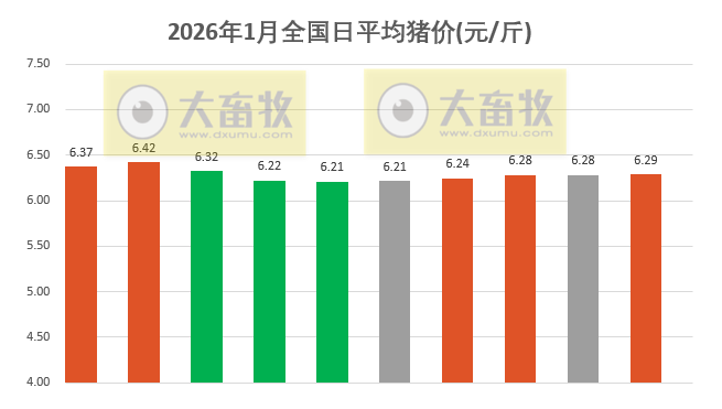 2026.01.10今天猪价行情分析