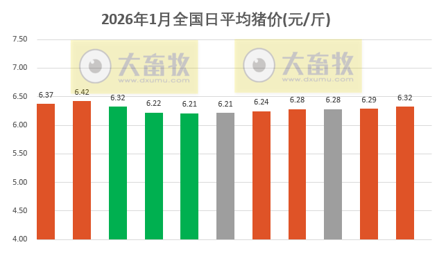 2026.01.11今天猪价行情分析
