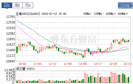 2026.01.13今天猪价行情分析
