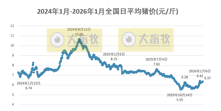 2026.01.14今天猪价行情分析
