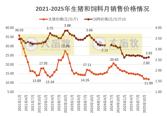 2025年12月及年度全国猪粮比和生猪收益情况