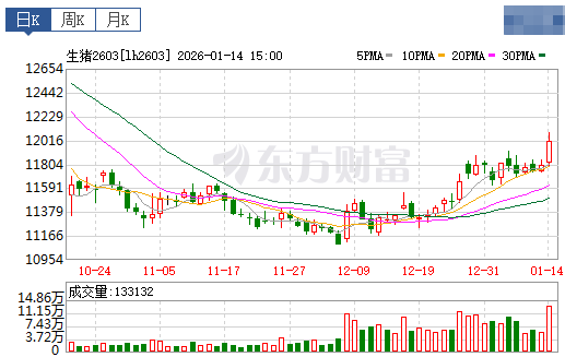 2026.01.15今天猪价行情分析