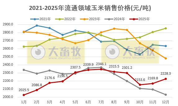 2026年1月中国玉米供需形势分析——玉米年度总产量再创历史新高