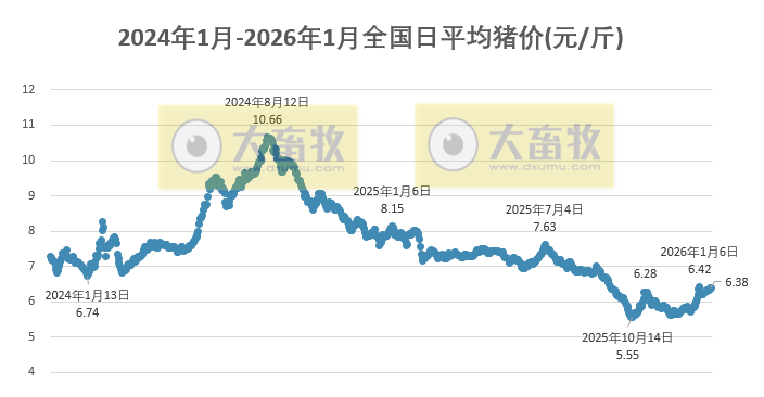 2026.01.16今天猪价行情分析