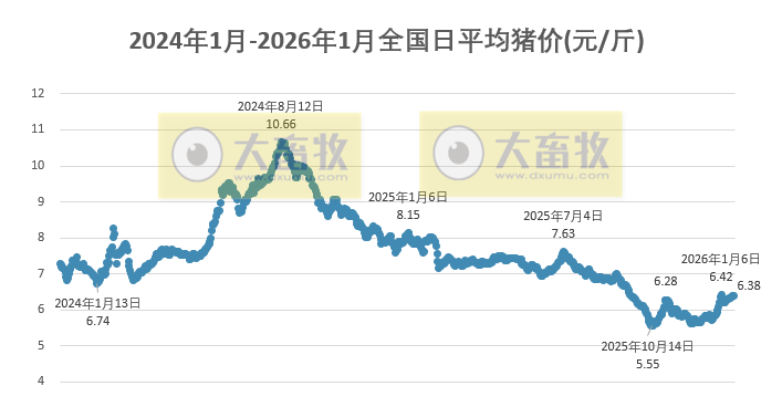 2026.01.17今天猪价行情分析