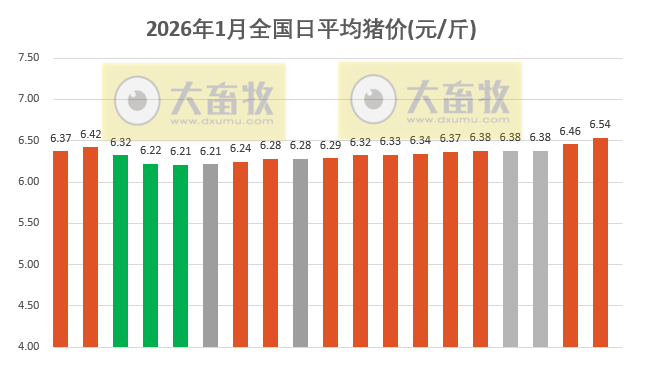 2026.01.19今天猪价行情分析
