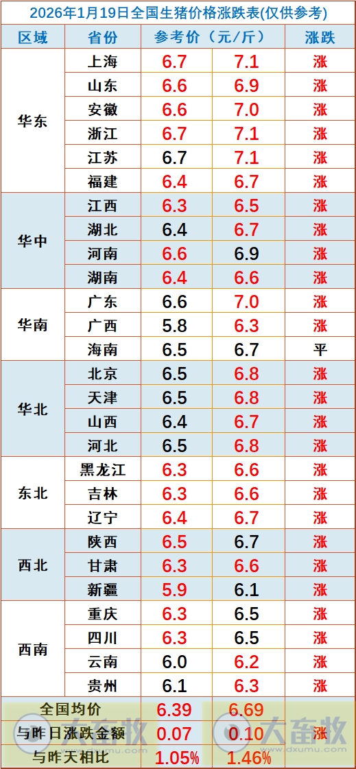 2026.01.19今天猪价行情分析