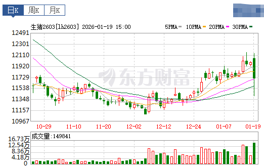 2026.01.20今天猪价行情分析