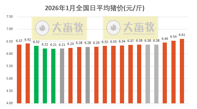 2026.01.20今天猪价行情分析