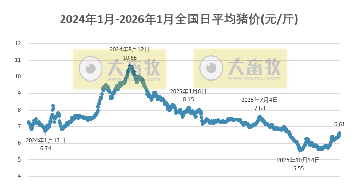 2026.01.20今天猪价行情分析