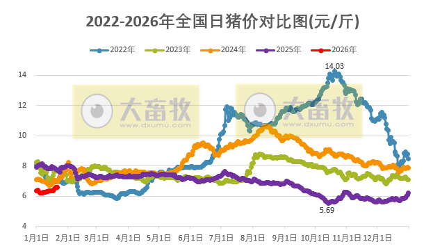 2026.01.21今天猪价行情分析