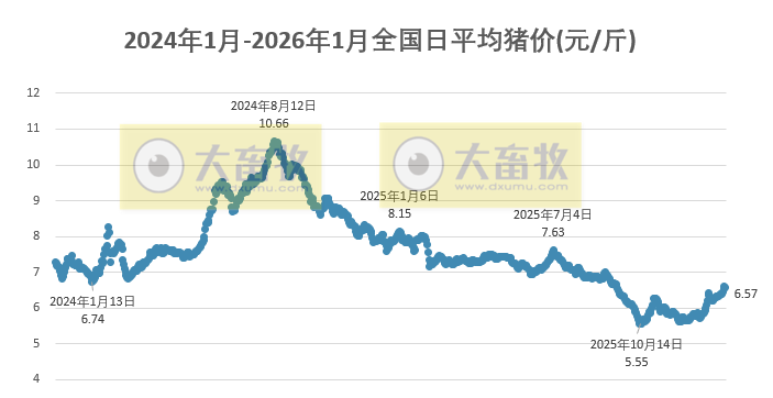 2026.01.21今天猪价行情分析