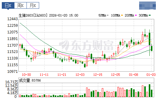 2026.01.21今天猪价行情分析