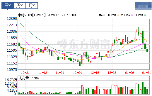2026.01.22今天猪价行情分析