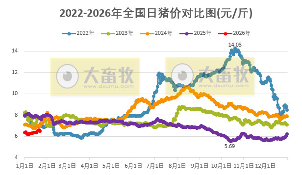 2026.01.22今天猪价行情分析