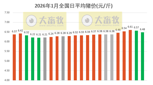 2026.01.22今天猪价行情分析