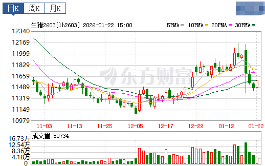 2026.01.23今天猪价行情分析