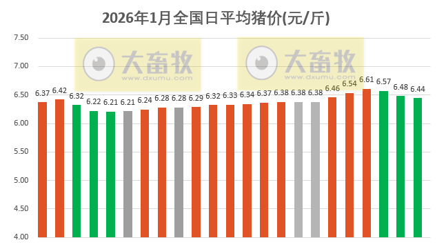2026.01.23今天猪价行情分析
