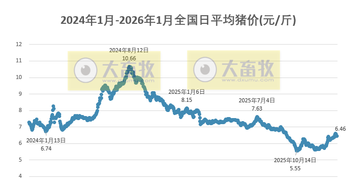 2026.01.24今天猪价行情分析
