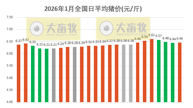 2026.01.24今天猪价行情分析