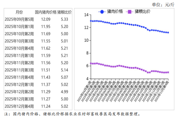 2025年12月国内和国际猪肉市场行情分析——预计春节前猪肉价格温和反弹