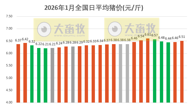 2026.01.25今天猪价行情分析
