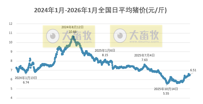 2026.01.25今天猪价行情分析