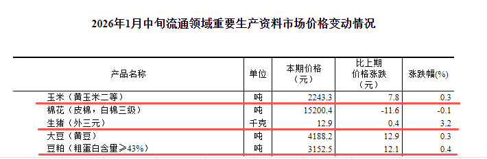 2026.01.25今天猪价行情分析