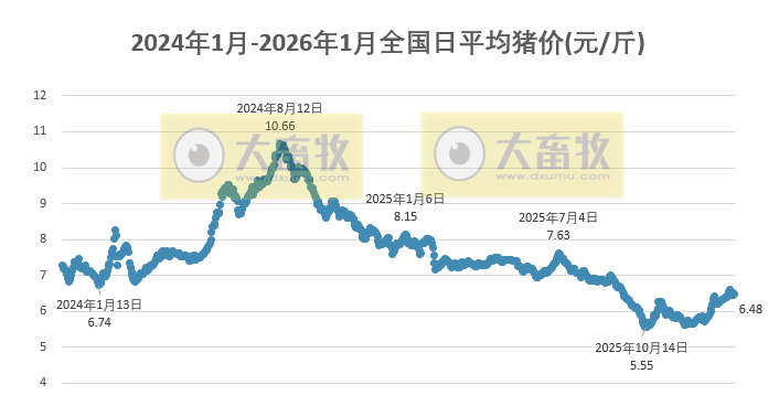 2026.01.26今天猪价行情分析