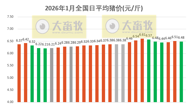 2026.01.26今天猪价行情分析
