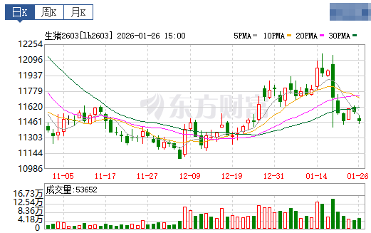 2026.01.27今天猪价行情分析