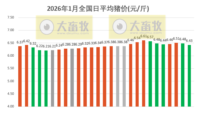 2026.01.27今天猪价行情分析