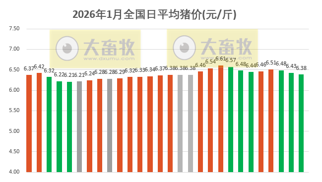 2026.01.28今天猪价行情分析