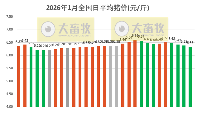 2026.01.29今天猪价行情分析
