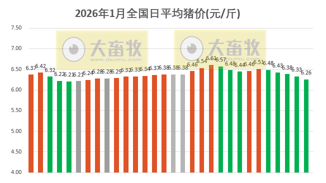 2026.01.30今天猪价行情分析