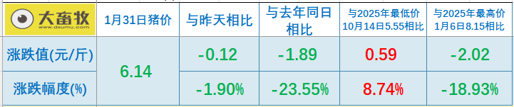 2026.01.31今天猪价行情分析