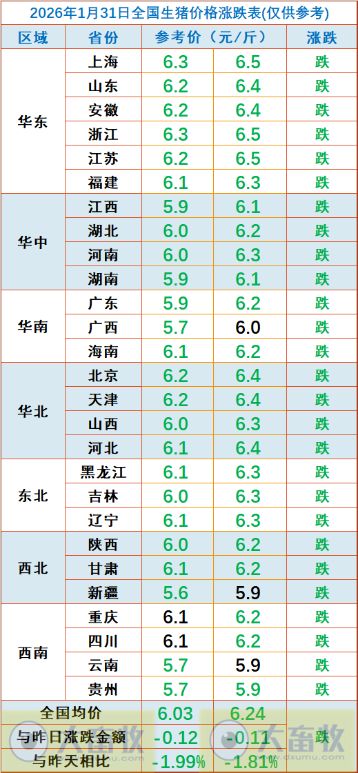 2026.01.31今天猪价行情分析