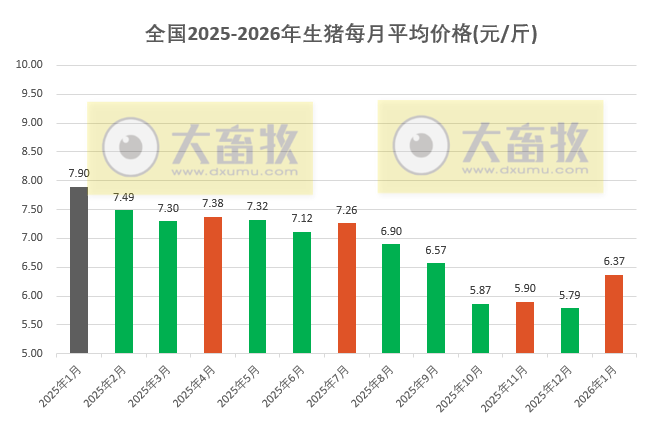 2026年1月全国平均猪价止跌上涨，且时隔3个月再次突破6元大关