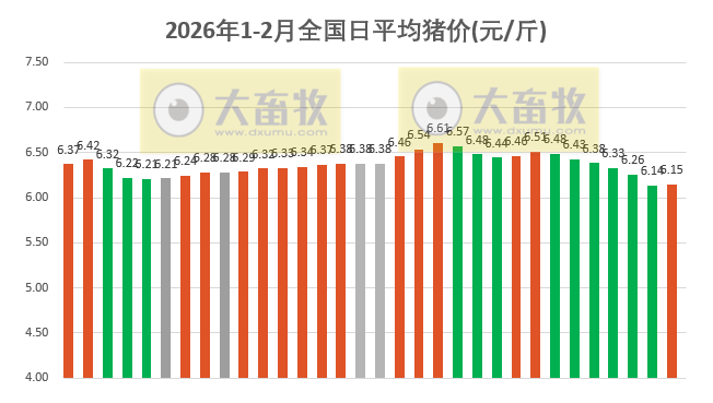 2026.02.01今天猪价行情分析