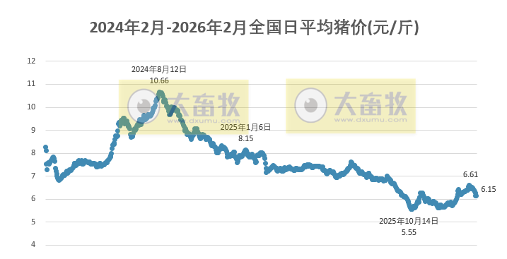 2026.02.01今天猪价行情分析