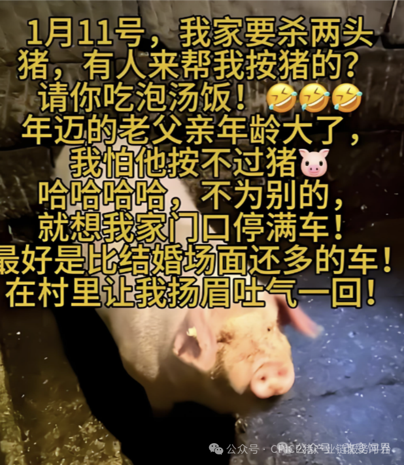 探秘！重庆千人刨猪汤，为啥堪比茅台香？央视报道武陵黑，天理良心好榜样！