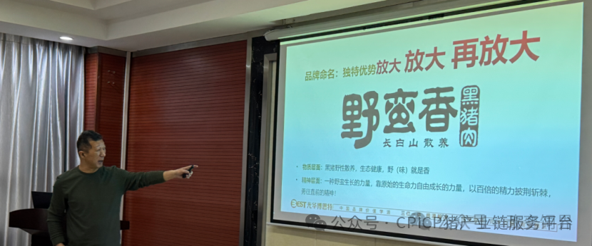 探秘！重庆千人刨猪汤，为啥堪比茅台香？央视报道武陵黑，天理良心好榜样！