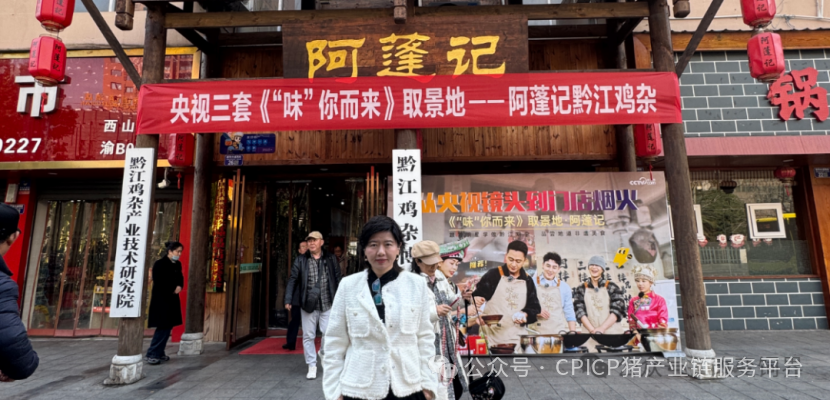 探秘！重庆千人刨猪汤，为啥堪比茅台香？央视报道武陵黑，天理良心好榜样！