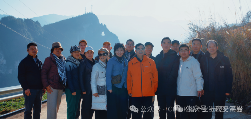 探秘！重庆千人刨猪汤，为啥堪比茅台香？央视报道武陵黑，天理良心好榜样！