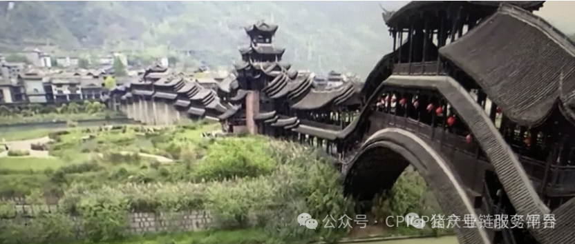 探秘！重庆千人刨猪汤，为啥堪比茅台香？央视报道武陵黑，天理良心好榜样！