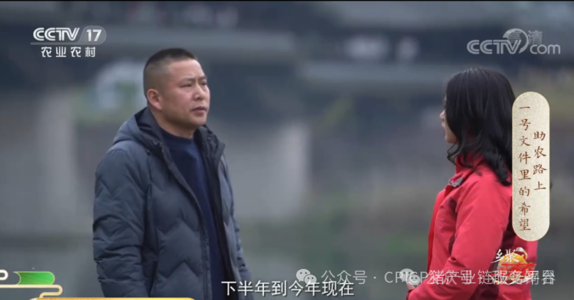 探秘！重庆千人刨猪汤，为啥堪比茅台香？央视报道武陵黑，天理良心好榜样！