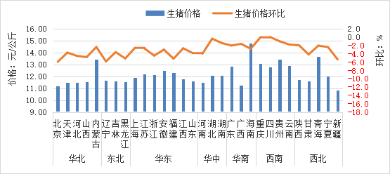 W020260115417360178374