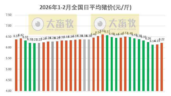 2026.02.02今天猪价行情分析